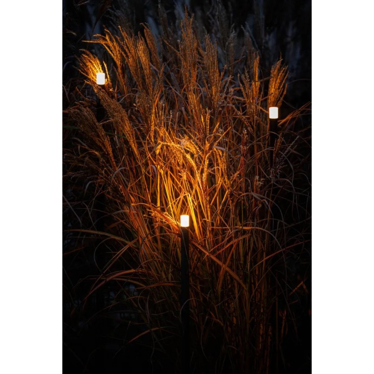 Lampe de jardin moderne noire Barite 60 de Lightpro 12v lighting