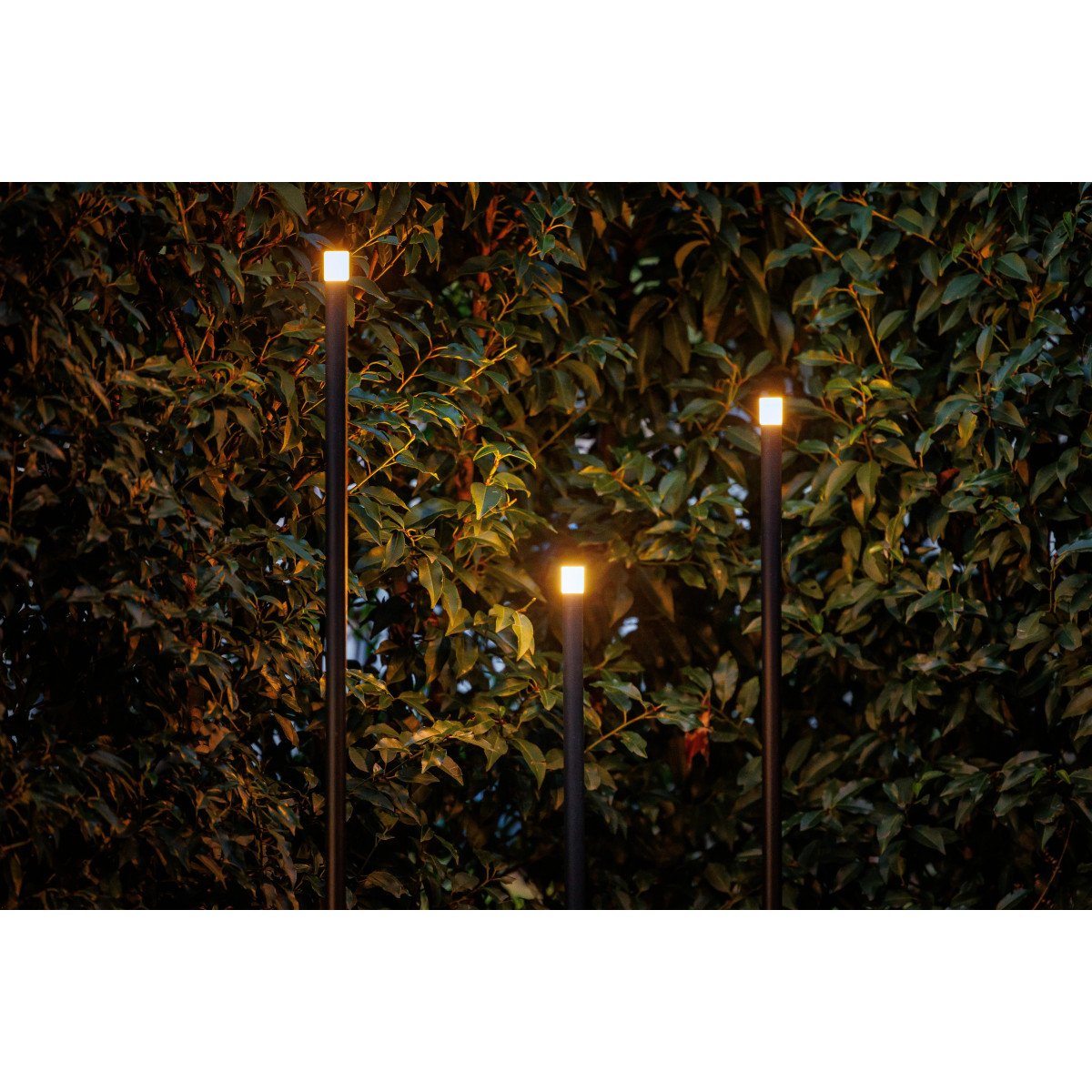 Lampe de jardin moderne noire Barite 60 de Lightpro 12v lighting
