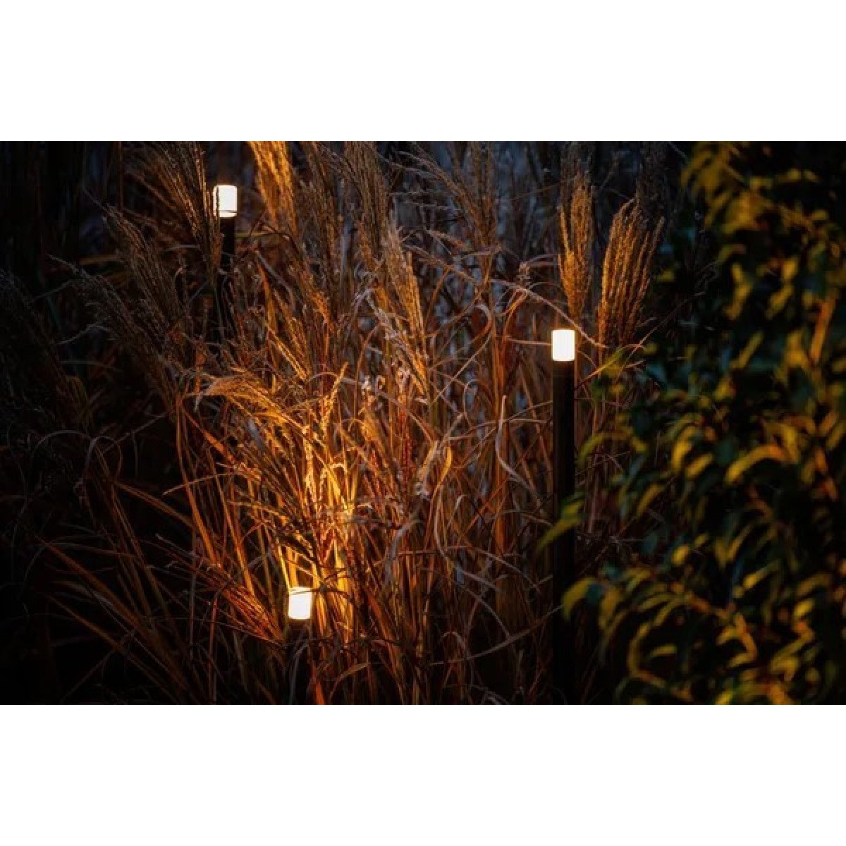 Lampe de jardin moderne noire Barite 60 de Lightpro 12v lighting