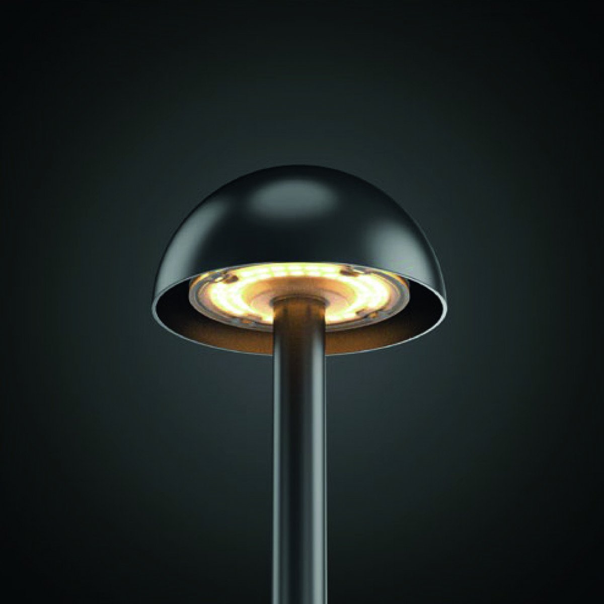 Lampe de jardin Lina noire 60cm aluminium IP65