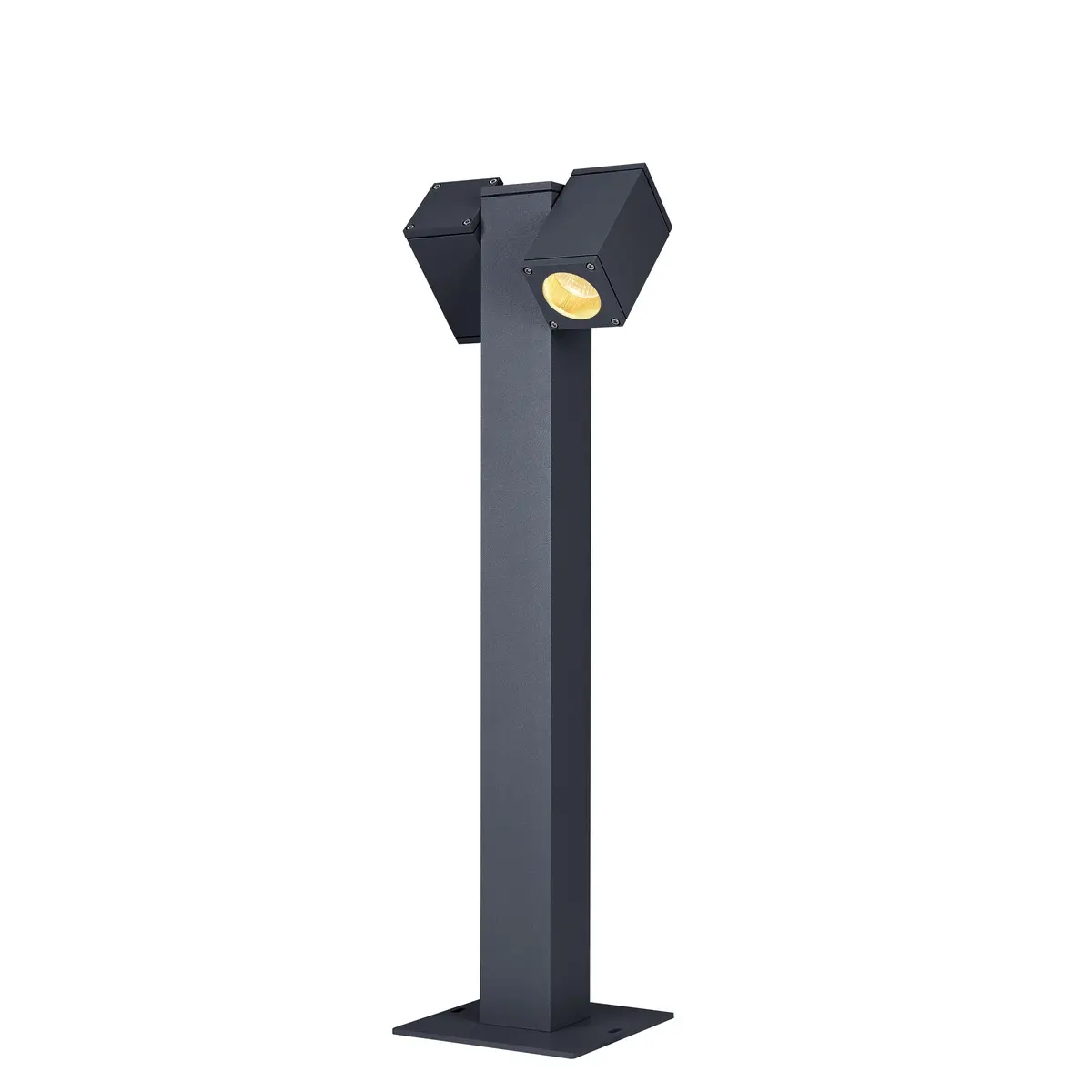 Theo Pathlight Double
