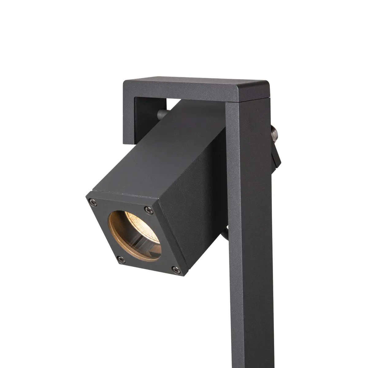 Theo Bracket 50 