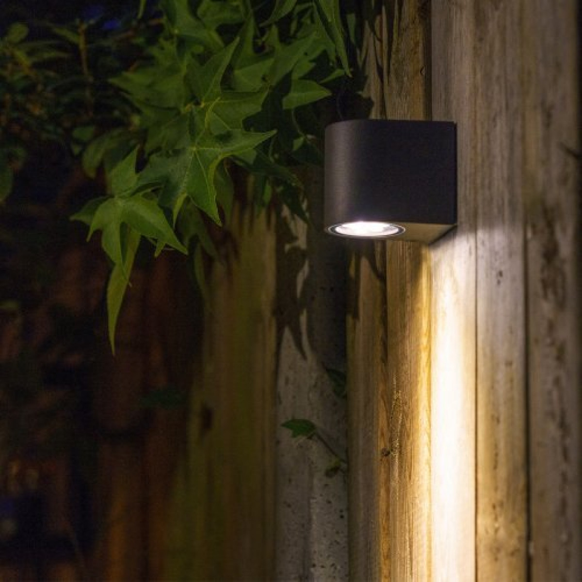Applique murale Gilvus noir downlighter 12 volts | Nostalux.fr