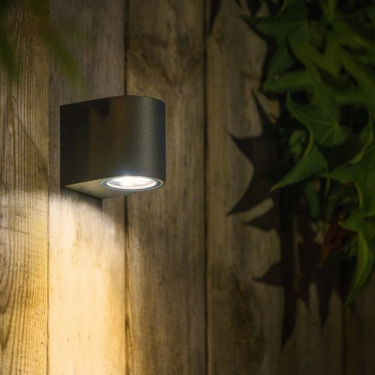 Applique murale Gilvus noir downlighter 12 volts | Nostalux.fr