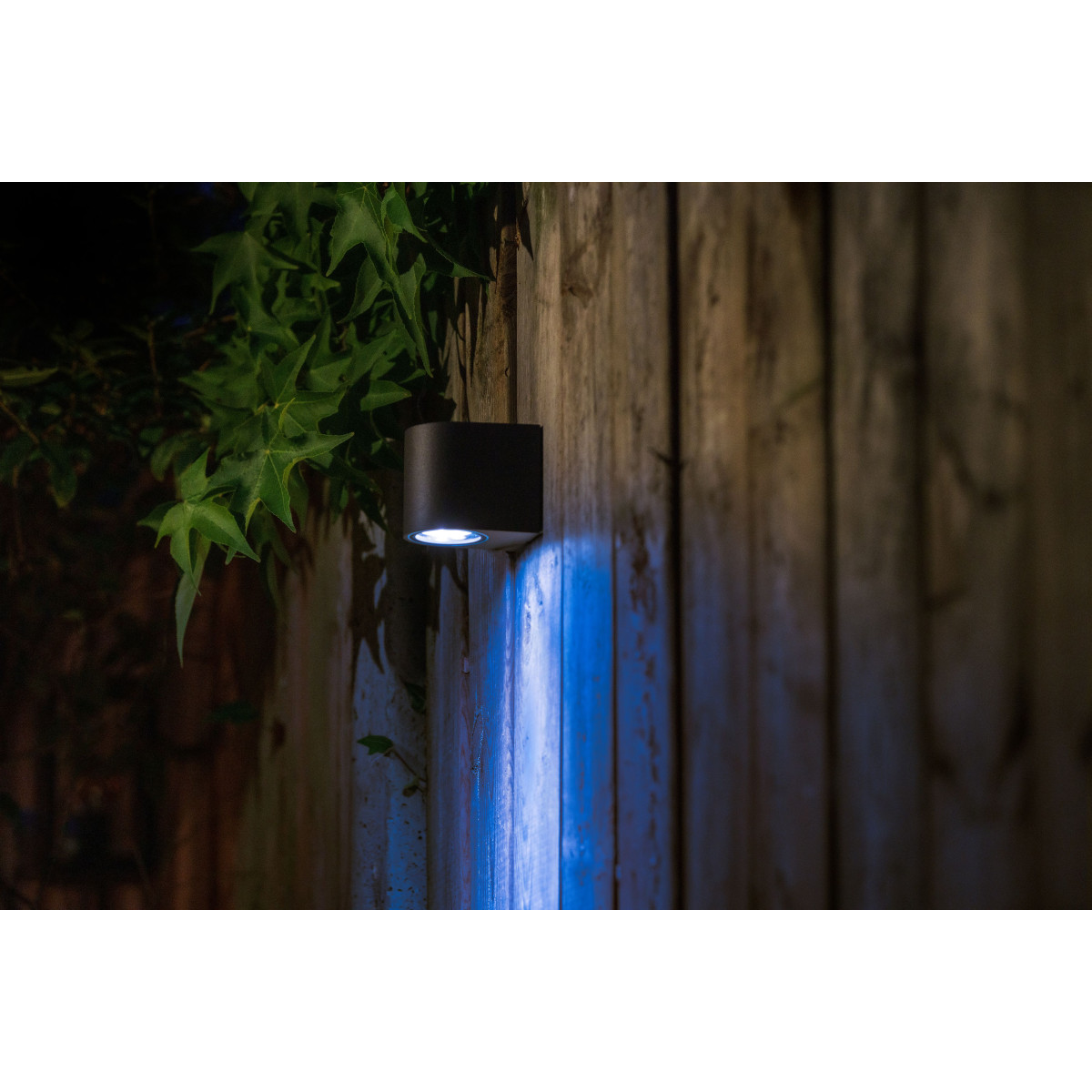 Set de 2 appliques murales Gilvus downlighters 12 volt noir | Nostalux.fr