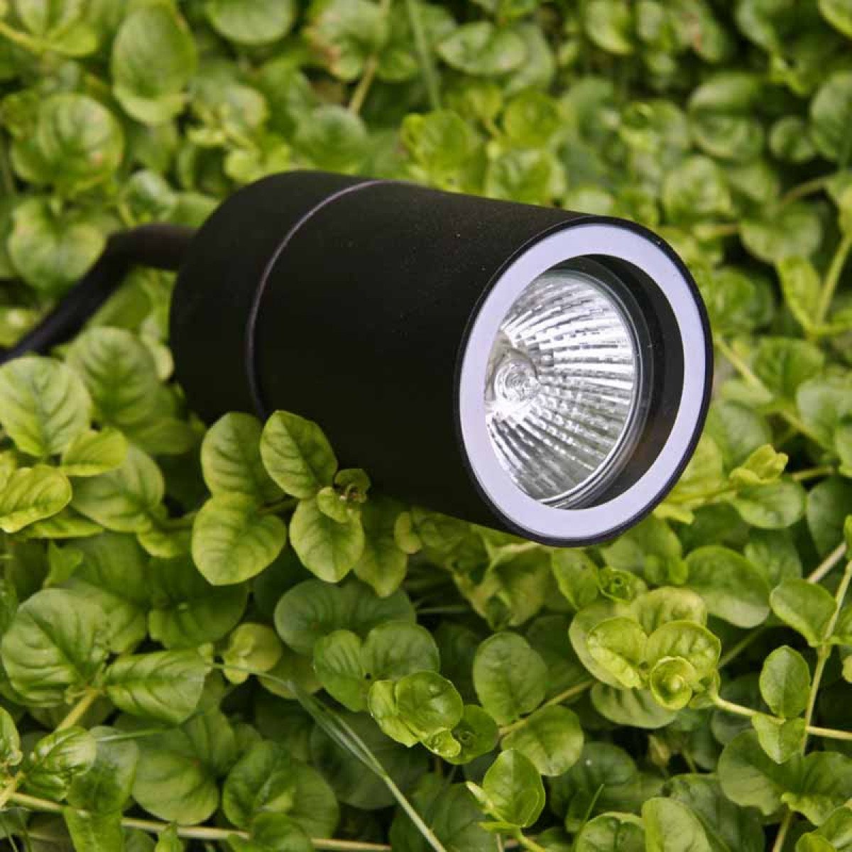 Lot de 6 spots de jardin LED Pin - Plug & Play de KS Lighting | Nostalux.fr