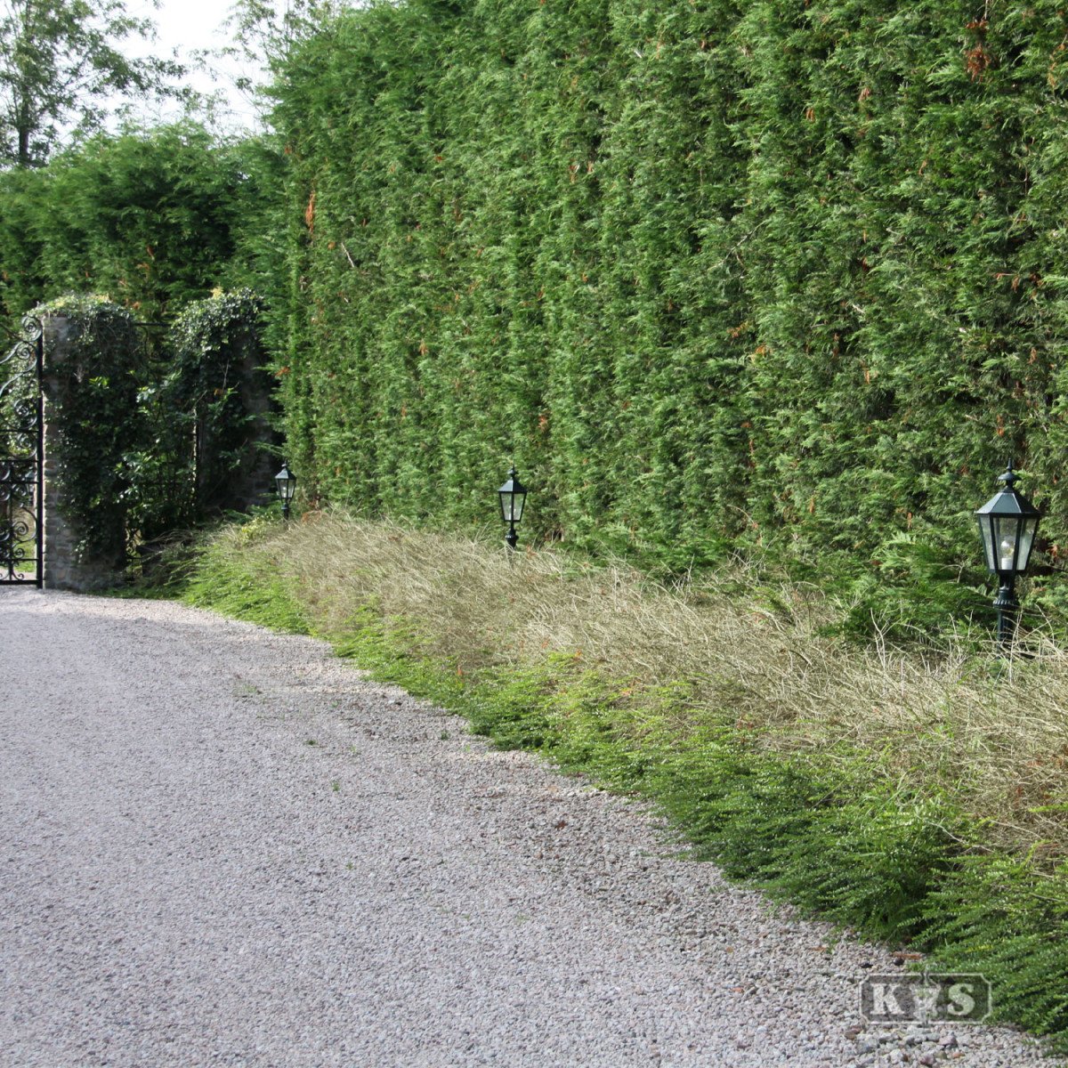 Petit lampadaire de jardin Koblenz (5003) avec lanterne hexagonale