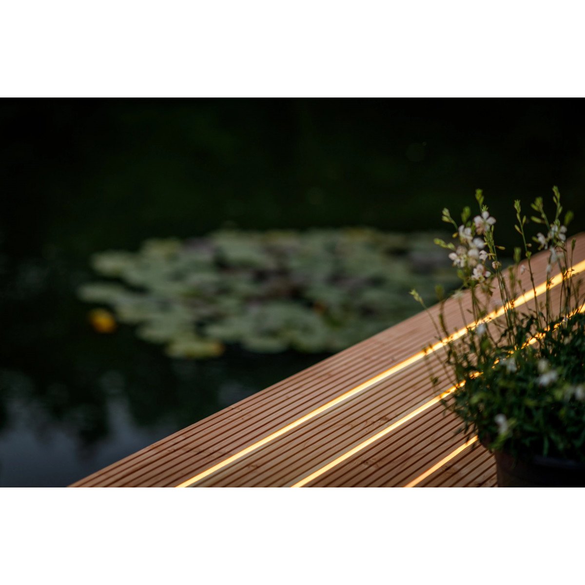 Bande LED 15 mètres, éclairage 12 volts, éclairage d'ambiance synthétique LightPro