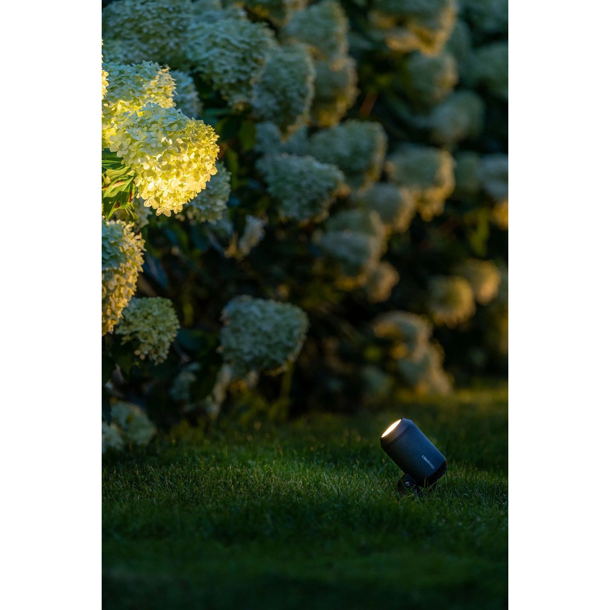 Lampe d'extérieur moderne en aluminium anthracite Castor 4 de forme ronde