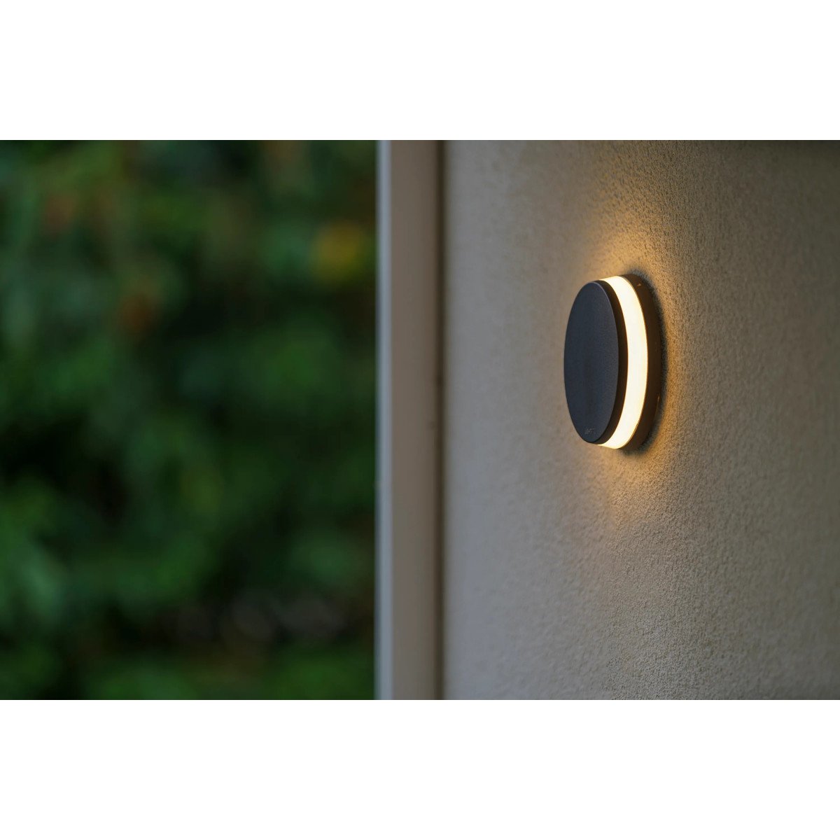 Applique ronde et moderne, lampe d'extérieur Polaris 12 volts de Lightpro de couleur anthracite