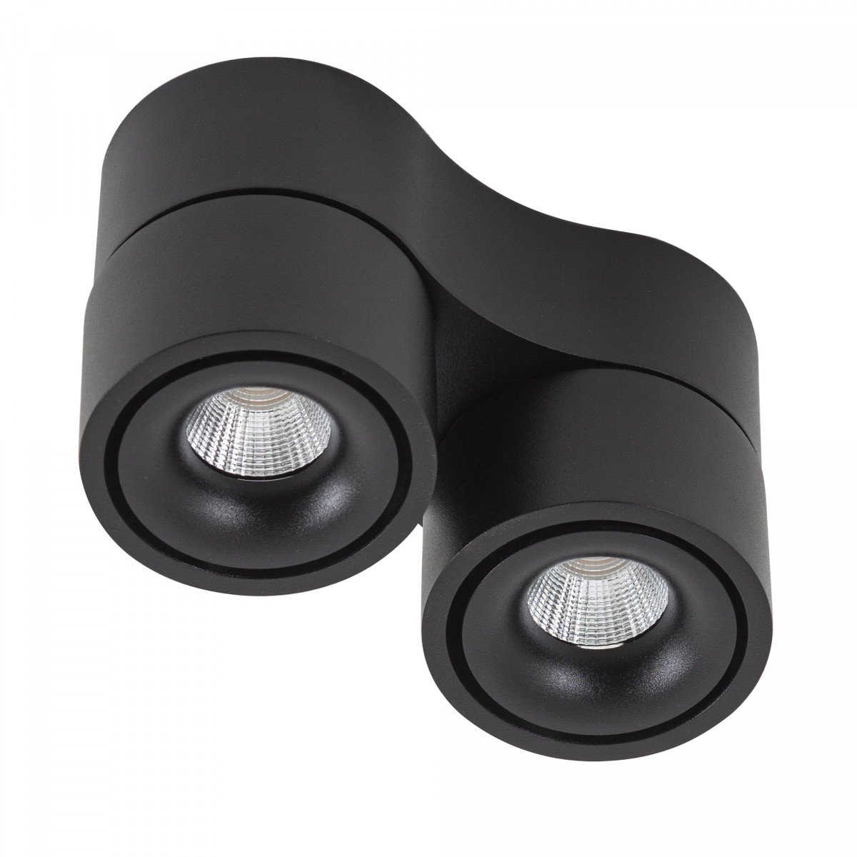 Plafonnier Ole 2 noir (7680) avec 2 spots noirs en saillie orientables | Nostalux.fr